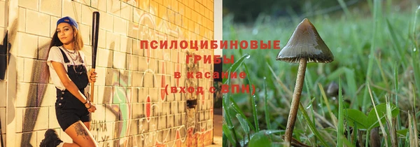 гашик Зерноград
