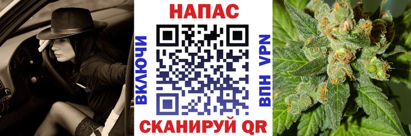 Канабис VHQ  Купить закладки  Павловск 